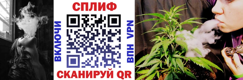 наркота  Геленджик  Каннабис индика 